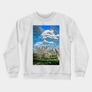 Winkworth Blossom Crewneck Sweatshirt